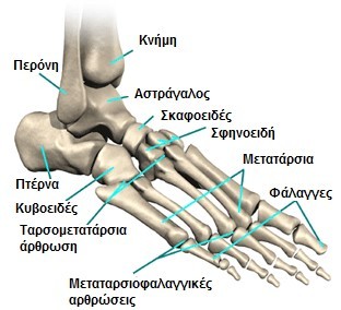 Προθέσεις Ποδοκνημικής & Άκρου Ποδός (lisfranc/choppart/syme)