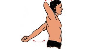 Upper extremity training exercises