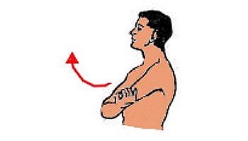 Upper extremity training exercises